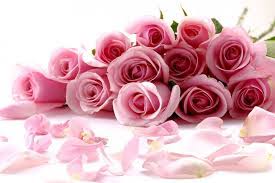 Resultado de imagen de flores bonitas