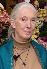 R.I.P. to the legendary Jane Goodall, who passed away today at the age of  91 ❤️