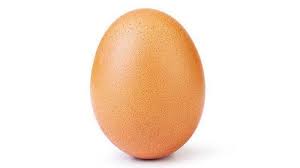 Pengiriman telur menggunakan sterofoam pembungkusan telur ayam hias dengan buble plastik model pengiriman telur ayam hias dengan jumlah lebih dari 20 butir menngunakan. Mengenal Telur Infertil Begini Cara Membedakannya Jika Salah Salah Membeli Tribun Batam