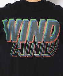 別注 wind and sea ウィンダンシー 3dプリント tシャツ tシャツ royal flash ロイヤルフラッシュ us online store tシャツのデザイン tシャツ プリント シャツのデザイン