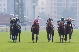 The live sha tin streams are in hd with flash compatibility so you can get the race live through an iphone/ipad. Live Streaming Of Sha Tin S Meeting Today Australia And International Horse Racing News Updated Daily