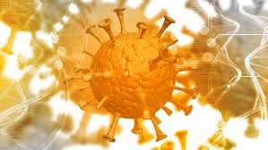 Así, virus aviarios como el h5n1 cuando infectan humanos acaban conectándose y replicando otra propiedad importante de este virus también relativa a la ha, más precisamente a su maturación. As Origens Da Gripe Suina Artigo Drauzio Varella Drauzio Varella