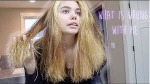 Bleaching will also cause the hair strand to weaken, so it will begin to snap off like a weak rubber band, causing hair to look thin and stringy. Bleaching My Hair 3x In One Day Then Dying It Blue Disaster Obviously Youtube