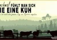 Spruch Abschied Kollege Arbeitswechsel Ideen Die 96 Besten Bilder