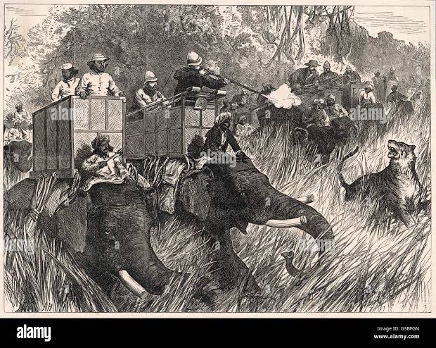 Edward vii india hi-res stock photography and images - Alamy