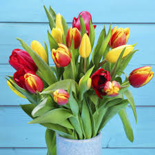Flowers have a traditional hold on celebrations in england. Most Popular Flower Types Bought In Great Britain