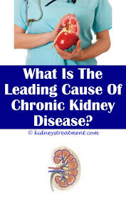 Kidney Disease Recipes Protein Kidney Disease Diet Kidney Disease Stages Kidney Disease Symptoms