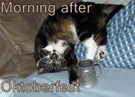 Oktoberfest Newquay - Posts | Facebook