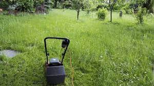 Maybe you would like to learn more about one of these? Taking Care Of Gardens In Rented Properties