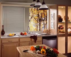 Cortinas Y Persianas Para Cocina Flexalum Peru