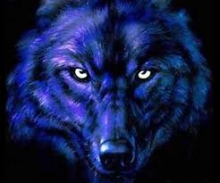 If you're in search of the best wolf wallpapers, you've come to the right place. Free Download Wolf Picture Wolf Desktop Wallpaper Wallpapers Download 960x800 For Your Desktop Mobile Tablet Explore 48 Wolf Wallpaper Free Live Wolf Wallpaper Free Download For Pc Free Wolf