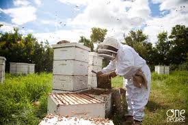 Wolfe Honey Products