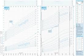 10 inquisitive hight chart for boys