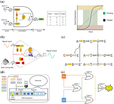 High school, college/university, master's or phd, and we will assign you a writer who can satisfactorily meet your professor's expectations. Scaling Up Genetic Circuit Design For Cellular Computing Advances And Prospects Springerlink