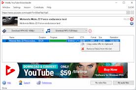 Download Viddly Youtube Downloader 5 0 250