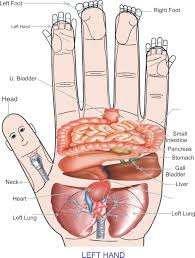 Acupressure Research Trainning Institute