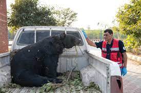 Images?q=tbn:ANd9GcTKpcwUoLjOuAduAeSSEyZFnPpBfg7GCe9EeVnisbPuTP4xIciYxbcKFvmd16gF4tn2w3M&usqp=CAU