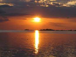 Hernando Beach Florida Beaches Near Me Florida Adventures Hernando Beach