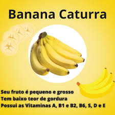 Muda de Banana Caturra