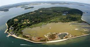 Set as your local news? Lift Your Spirits On Brownsea Island This Festive Season Bournemouth Echo