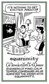 Word Of The Day Equanimity English Vocabulary Words Uncommon Words Unusual Words