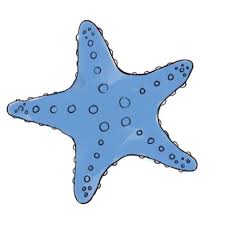 Begin by drawing a curved line like a rounded, upside down letter v. notice how the edges of the v flare outward. Realistic Simple Starfish Drawing