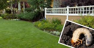 In this section, we'll unpack the different types of grub killers' products and help you select the formula that's the right choice for your garden and your budget. Grub Control How To Treat Grubs On Your Lawn Lawn Doctor