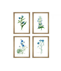 See more ideas about printable flower pictures, flower pictures, vintage seed packets. Blue Flowers Print Set Of 4 Botanical Illustration Wall Art Decor Painting Print