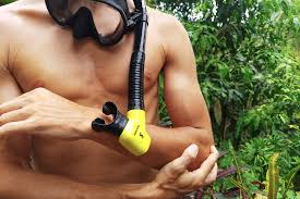 نتیجه جستجوی لغت [bends] در گوگل