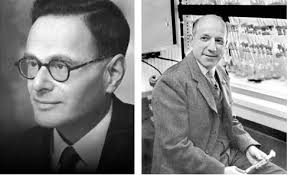 Time to put 'Krebs', 'Calvin' and other such monikers to bed?