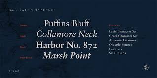 Calluna is chunky and assertive, with exaggerated serifs. Sabon Webfont Desktop Font Myfonts