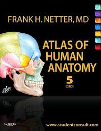 Memorix anatomy 1st edition pdf free download : Frank H Netter Atlas Of Human Anatomy Pdf Free Download Human Anatomy Interactive Anatomy Human Anatomy And Physiology