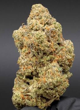 Boutique Austin Chronic Kush Indoor Flower, AI generated
