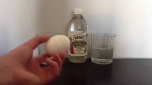 Resultado de imagen de huevo saltarin experimento