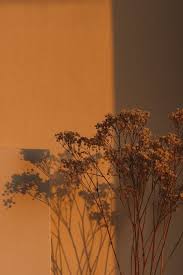 Stay away from anything too bright as well as pastel tones. Pinterest Aesthetic Pastel Wallpaper Pastel Aesthetic Aesthetic Painting
