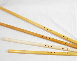 Image result for Diospyros crassiflora