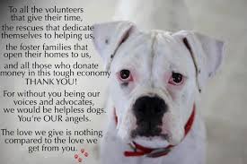 Quotes About Volunteering With Animals Quotesgram Volunteering With Animals Rescue Quotes Animal Rescue Quotes