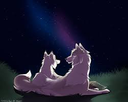 The Rift Starry Night By Snowy Owl Of Dawn Wolf Spirit Animal Wolf Art Fantasy Wolf Drawing