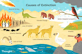 What Causes A Plant Or Animal To Go Extinct Species Extinction Extinction Animals