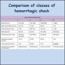 Image result for Hemorrhage Classification
