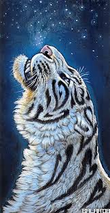 Pin By Patricia Gross On Canidae Felidae Tiger Art Big Cats Art Cat Art