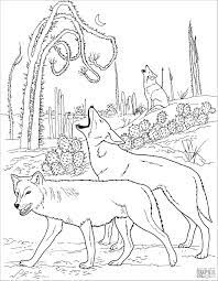 He'll enjoy adding color to the color this coyote, inspired by the coyote of joshua tree national park. Coyotes Desert Animal Coloring Page Coloringbay