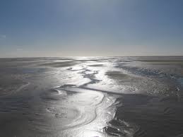 Es gibt fast 230 fischarten in der gesamten nordsee, wovon 70 arten im wattenmeer leben. Wattenmeer Was Fur Ein Meer