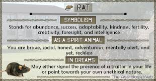 Rat Meaning And Symbolism The Astrology Web In 2020 Spirit Animal Meaning Dream Meanings Spirit Animal
