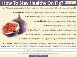 Image result for fig