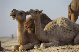 Mike, mike, mike guess what day it is. Guess What Day It Is Live Learn