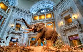 Image result for natural history museum poland