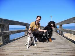 La forêt traversée, haute en fûts, est colonisée par de multiples fougères et donne parfois des images de début du monde tel qu'on peut se l'imaginer. Les Plages Autorisees Aux Chiens Normandie Tourisme