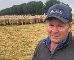 Berridale Merino comp cancelled