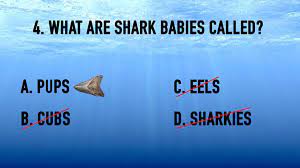Furthermore, it offers children endless possibilities to learn about many new things from around the world. Shark Week Trivia Games Download Youth Ministry